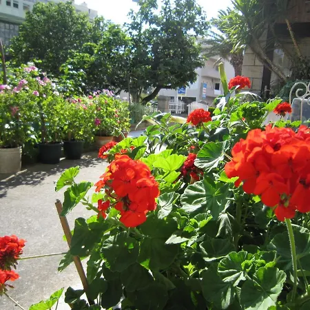 Apartman Olga 2 *
