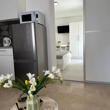 Διαμέρισμα Olga 2 *